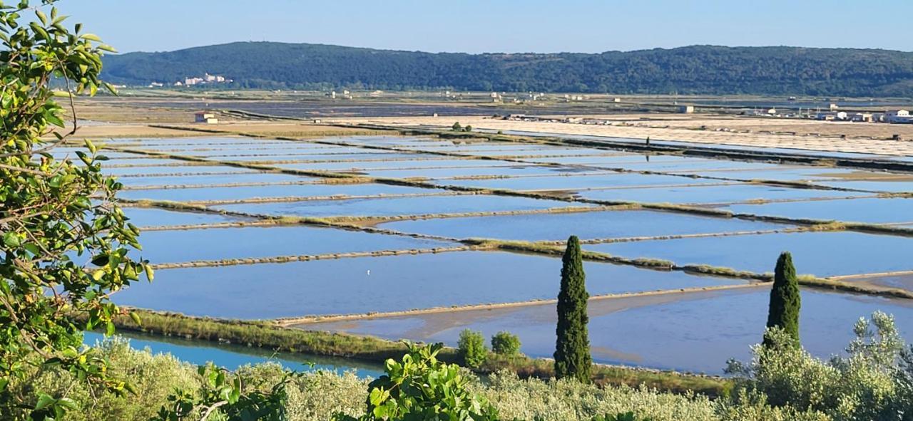 Apartment Salt Pans View Portoroz Exterior photo