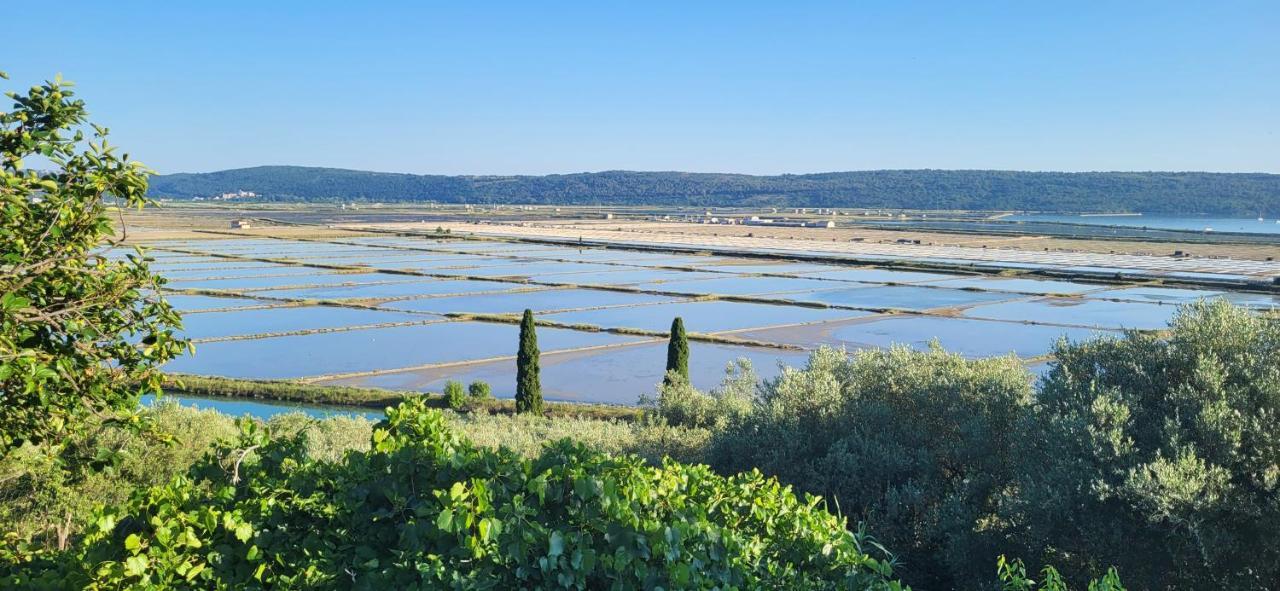 Apartment Salt Pans View Portoroz Exterior photo