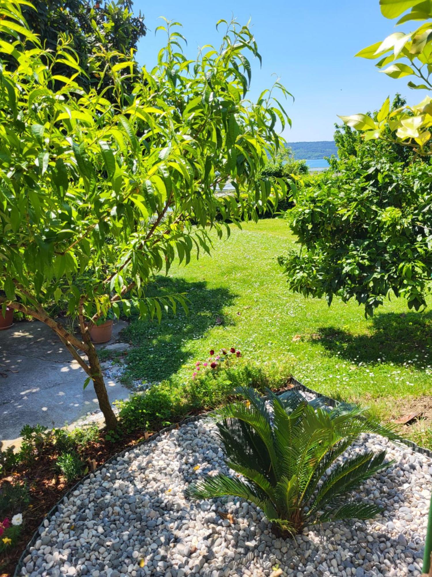 Apartment Salt Pans View Portoroz Exterior photo