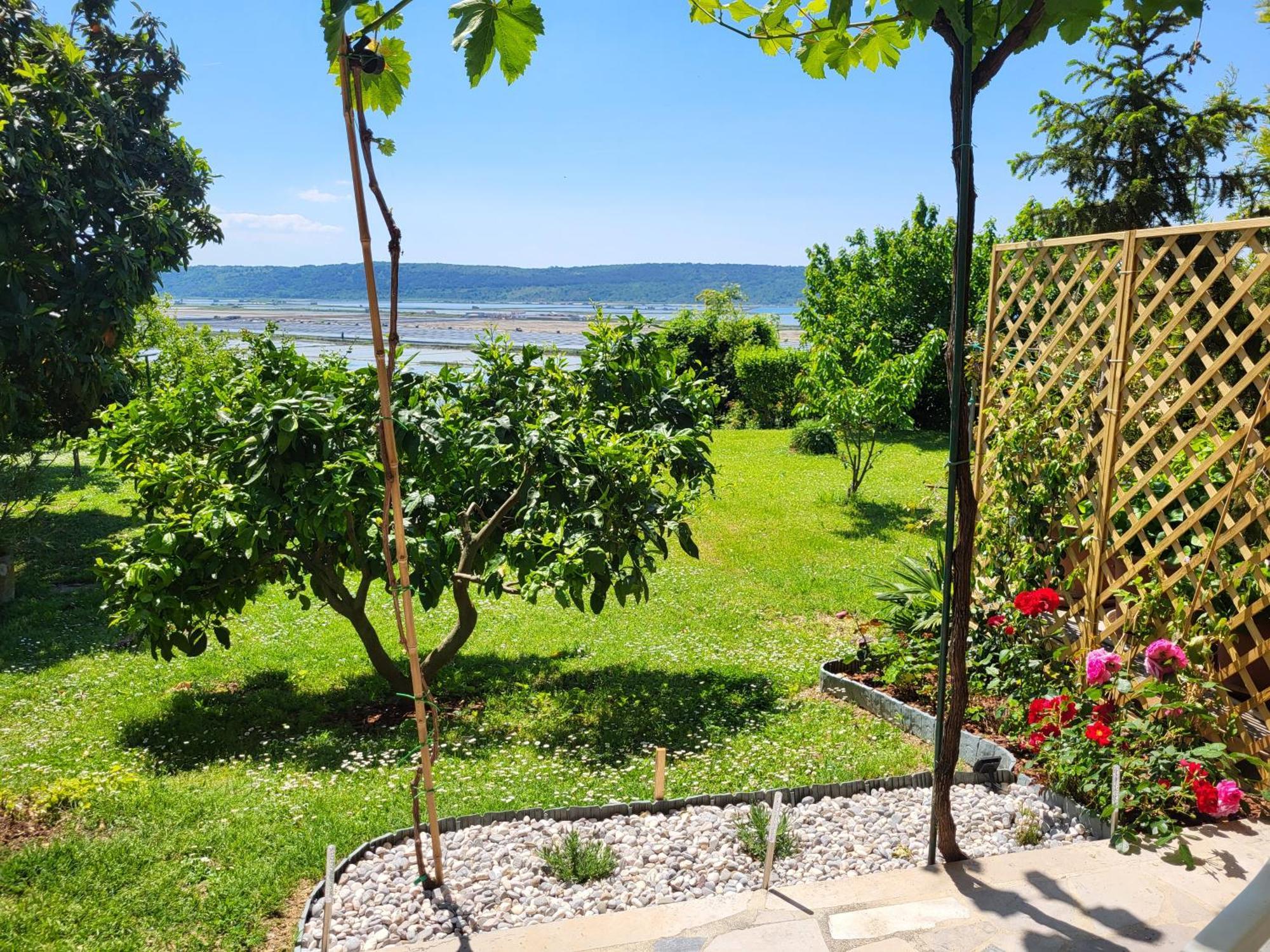 Apartment Salt Pans View Portoroz Exterior photo